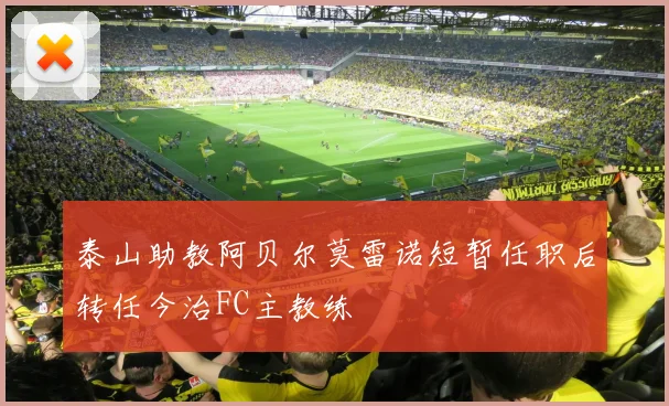 泰山助教阿贝尔莫雷诺短暂任职后转任今治FC主教练